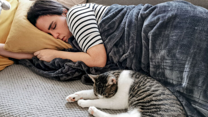 Pourquoi Mon Chat Dort Il Avec Moi Et Pas Avec Mon Mari Recette