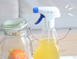 Vinaigre blanc :  spray naturel WC 750 ml pour 0,20 euros !