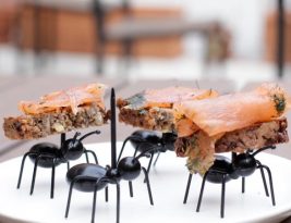 Comment empêcher les fourmis de partager votre festin  sans être invités ?
