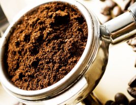 Zéro déchets :  Saviez-vous que le marc de café enrichit les plantes et protège contre des nuisibles ?