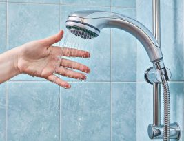Comment détartrer la pomme ou le pommeau de votre douche ?