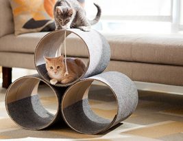 Comment fabriquer un arbre à chat Soi-même facile ?