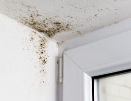 Comment nettoyer son plafond sans se fatiguer ?