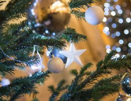 Comment choisir et faire durer son sapin de Noël ?