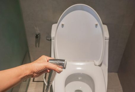 Conseils sur la meilleure façon de s’essuyer : Papier toilette, bidet traditionnel ou japonaise