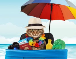Quels jours poser pour un week-end de 4 jours en mai 2025