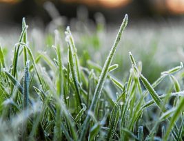 France : vague de froid jusqu’à quand