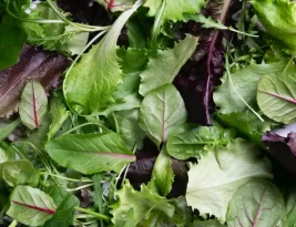 Carrefour : de la salade verte rappelée dans toute la France pour contamination à la listeria