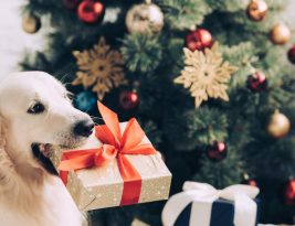 Où revendre les cadeaux de Noël ?