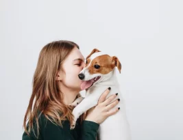 Quand un chien voit son maître, son cerveau réagit comme celui des humains amoureux